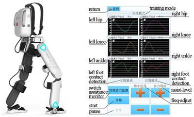 Effects of Individualized Gait Rehabilitation Robotics for Gait Training on Hemiplegic Patients: Before-After Study in the Same Person